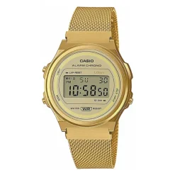 Casio Vintage rannekello A171WEMG-9AEF