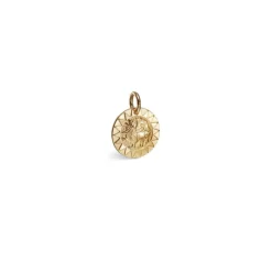 Kalevala Amuletti Aurinkoleijona hela, pronssi