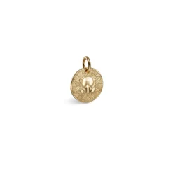 Kalevala Amuletti Pohjankarhu hela, pronssi