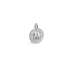 Kalevala Amuletti Pohjankarhu hela, hopea