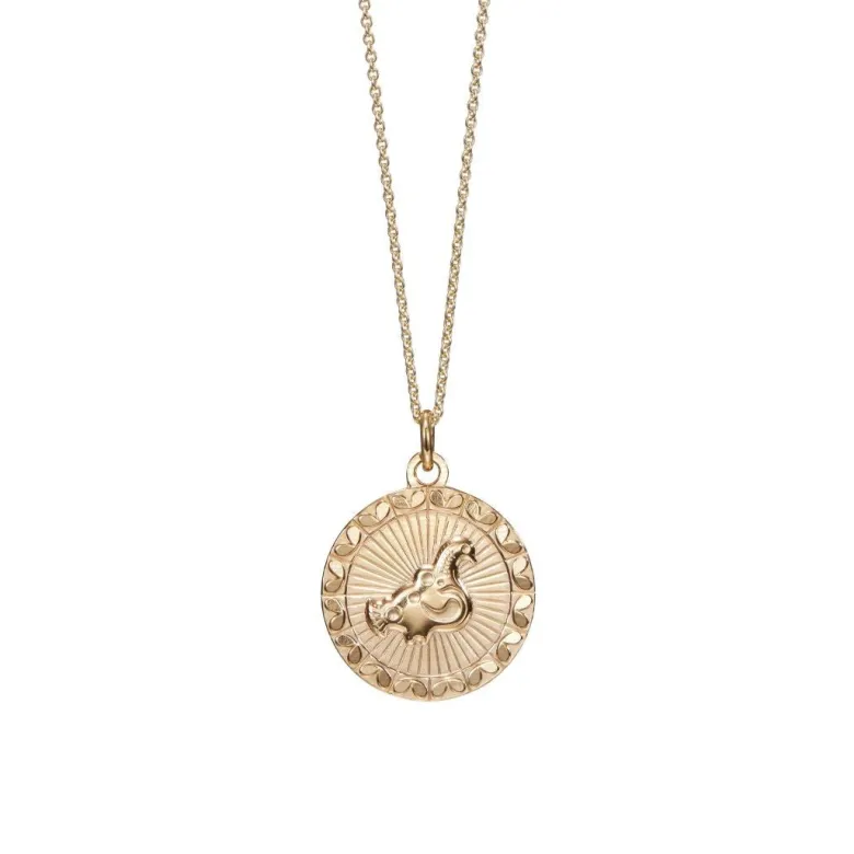 Kalevala Amuletti Taikalintu riipus, pronssi