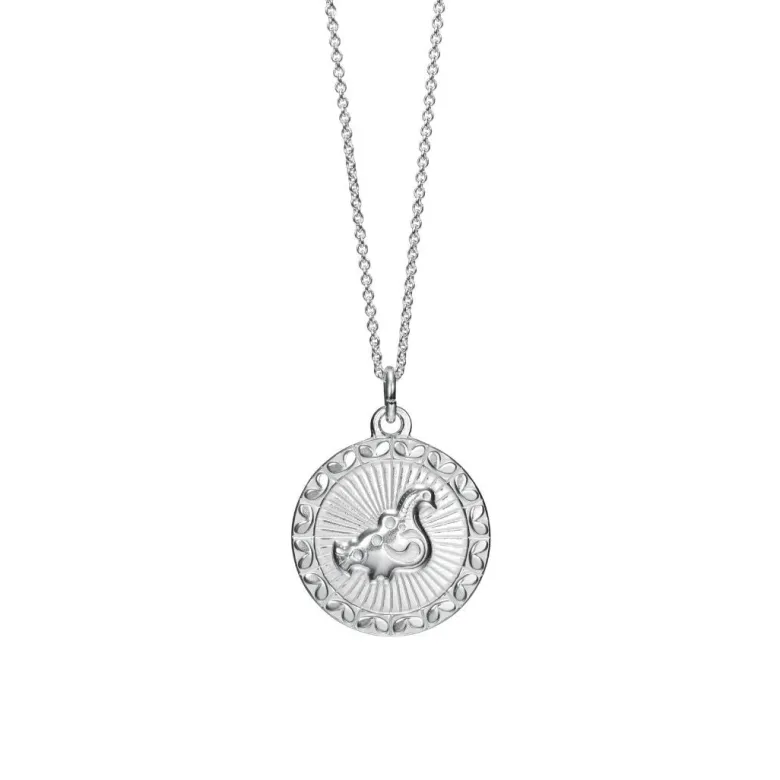 Kalevala Amuletti Taikalintu riipus, hopea