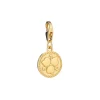 Lumoava Penny Charm, keltakullattua hopeaa