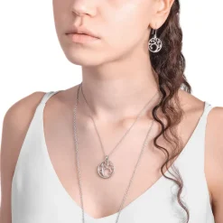 Lumoava Taika, pieni hopeariipus