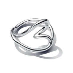 Pandora Essence Organically Shaped Heart sormus, hopea, 193288C00