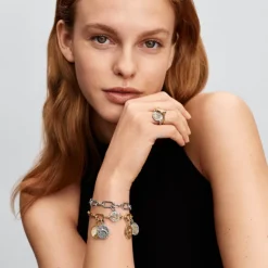 Pandora ME Dolphin Medallion hela, hopea, 794807C01