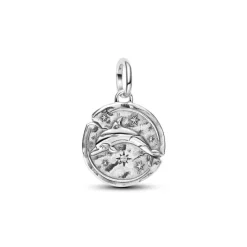 Pandora ME Dolphin Medallion hela, hopea, 794807C01