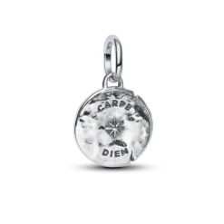 Pandora ME Skull Medallion hela, hopea, 794089C01
