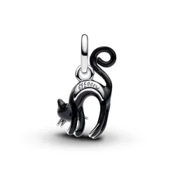 Pandora Moments Black Cat hela, hopea, 794769C01
