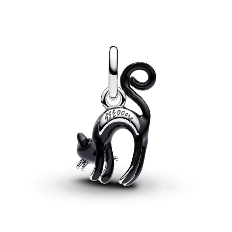 Pandora Moments Black Cat hela, hopea, 794769C01