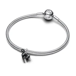 Pandora Moments Black Cat hela, hopea, 794769C01