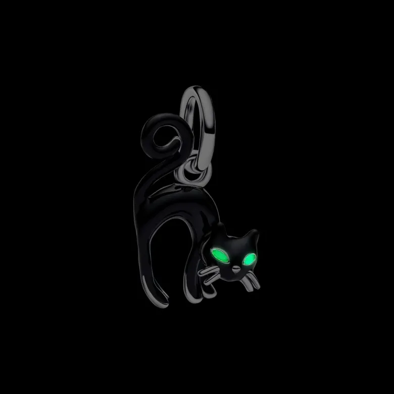 Pandora Moments Black Cat hela, hopea, 794769C01