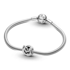 Pandora Moments Family Always Encircled Heart hela, hopea, 791507C00
