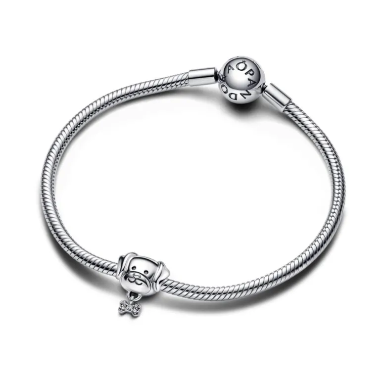 Pandora Moments Pet Dog & Bone hela, hopea, 792254C01