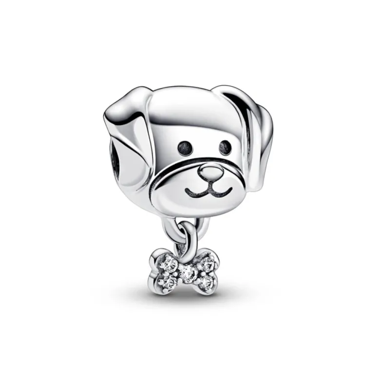 Pandora Moments Pet Dog & Bone hela, hopea, 792254C01