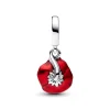 Pandora Moments Red Flower hela, hopea, 793917C01