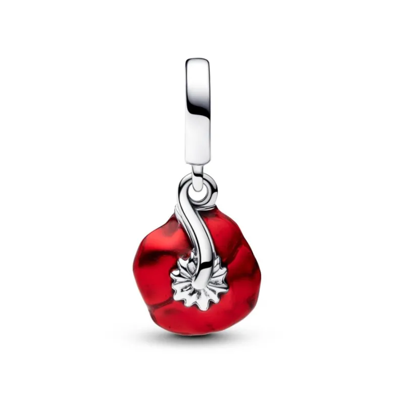 Pandora Moments Red Flower hela, hopea, 793917C01