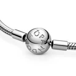 Pandora Moments Snake Chain rannekoru, hopea, 590728