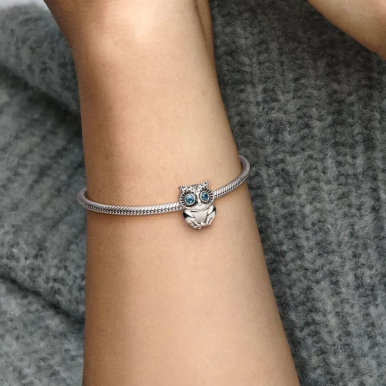 Pandora Moments Sparkling Owl hela, hopea, 798397NBCB