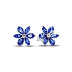 Pandora Timeless Sparkling Herbarium Cluster tappikorvakorut, hopea, 292407C01