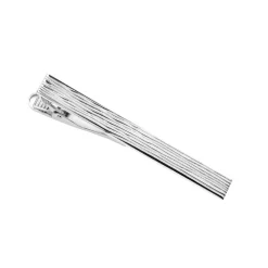 Saurum solmioneula, hopeaa, SA443100