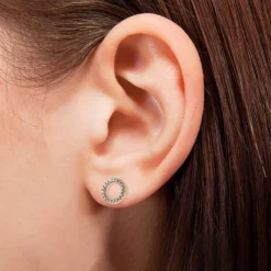 Vittoria korvakorut zirkonioilla, keltakultaa